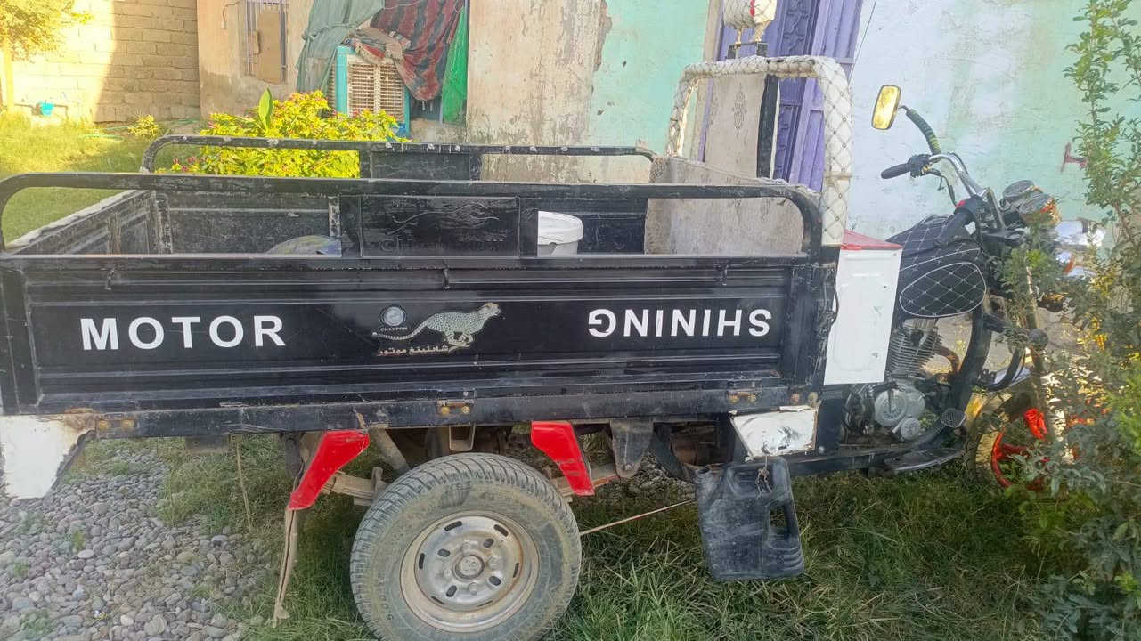 سلام عليكم ستوته للبيع فحل 
شاخوان موديل ٢١ شاصي ركبه محرك 
كهربائيات  سلف هندر اكسل كاردن صلايب 
كله شرط مكاني صلاح بيجي 
سعرها مليون و ١٥٠ وبيها مجال حك الجيه 
***********
