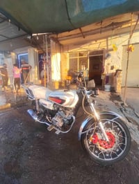 معمر • اصلي • دشبول عاطل
