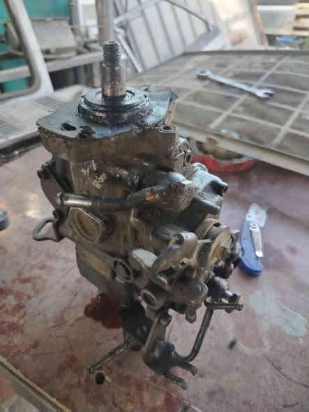 سلام عليكم سلف وداينمو وبم مال كيا بستا للبيع مكفولات وعل فحص مكان بابل حله رقم راعيهن ***********
