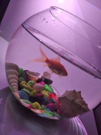 قطعة ارض • ١٥٣م • حي الشهداء ابو غريب