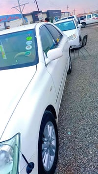 كراون • ١٨٢ • رانيا