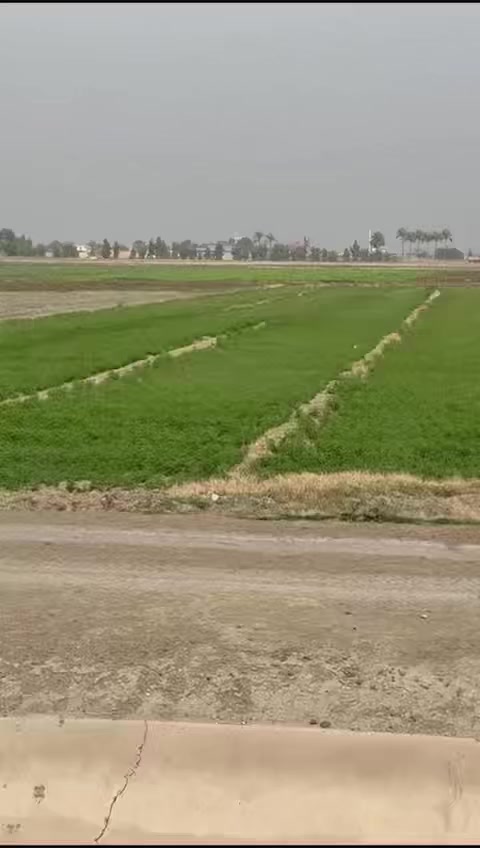 سلام عليكم  دونم سند 25 منطقة ابو غريب المصالحه وطجاج  قرب جسر ماجد او منطقة قطاع 20  المنطقة مخدومه من ما وكهرياء ورواي  وتبليط شرط متنطي فلوس اذا متفتح بيان رقم تليفوني ***********
