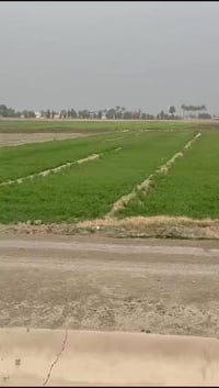 أبو غريب المصالحه • دونم سند • مخدوم ماء كهرباء