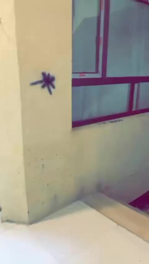 سلام عليكم توجد بنايه للبيع الموقع الاعظميه الاخطل مساحه 152،5واقع حال 202.5  اربع طوابق ثلاث طوابق تحتوي على صاله ومطبخ وغرفتين نوم وثلاث مناور  مدخلين والطابق الرابع بناء 100متر يحتوي على صاله ومطبخ وغرفتين نوم. بناء حديث سنه2022
***********
***********
