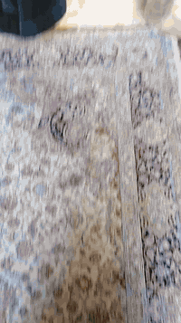 حملة ام البنين • زيارة العتبات • ايران