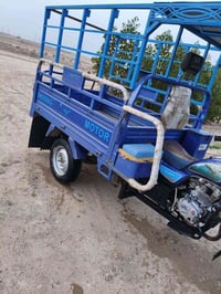 ستوته • موديل 22 • مرقمه