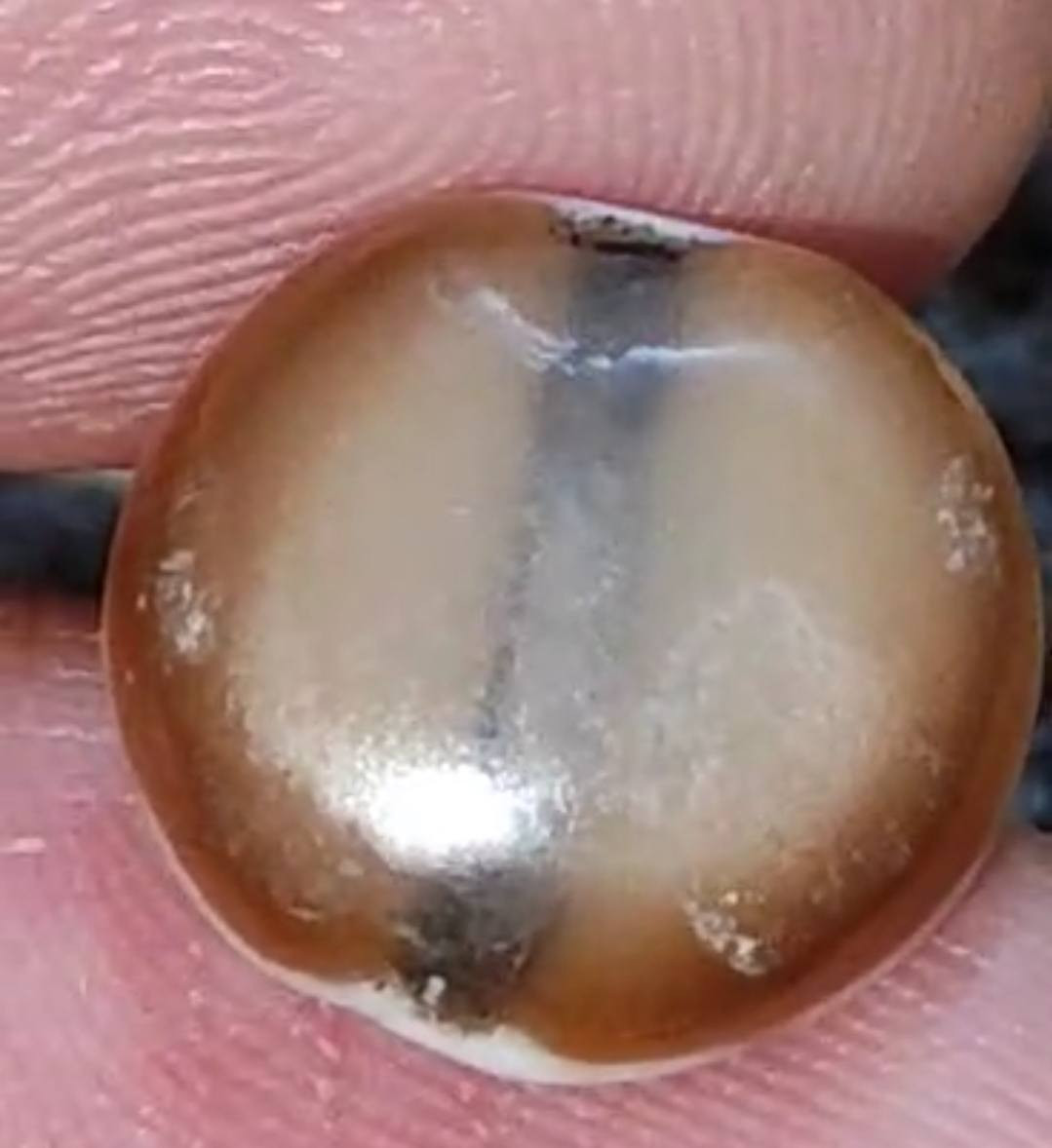 جزعه يمانيه اصيله 
تواصل على الرقم 
***********
