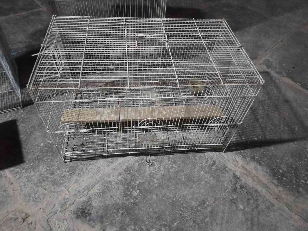 انواع الحجام القفاصه العدد 8 سعر الواحد 10 وذا كلهن بيهن مجال عنوان شطره ***********
