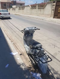بزون • مراوس • ايراني