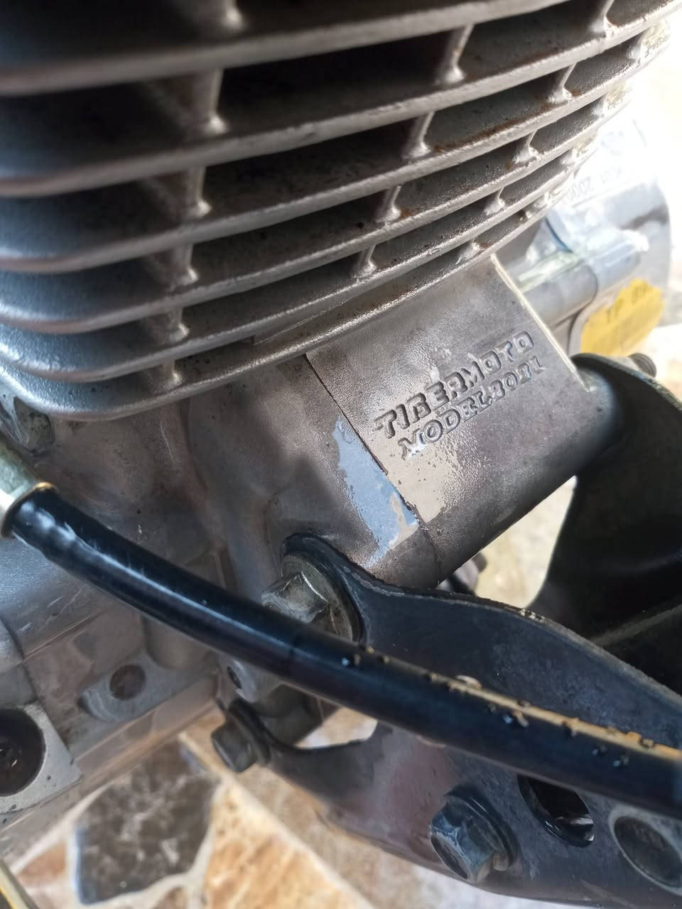 بە ناوی خوا فرۆشتنی خیرا تایگە ر مۆ دیلی 2021 همو گیانی بشرت زۆر بە قوتە ویلی تازیە کارە بای ایشە کات ڕۆن نادات شوین کە لار ساڵاح اغاسعری 240 هزار


**إذا كنت صاحب هذا الإعلان وتريد حذفه لأي سبب، رجاءا أرسل رسالة إلى الدعم الفني**