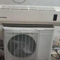 سبلت • ٢طن • موسم واحد
