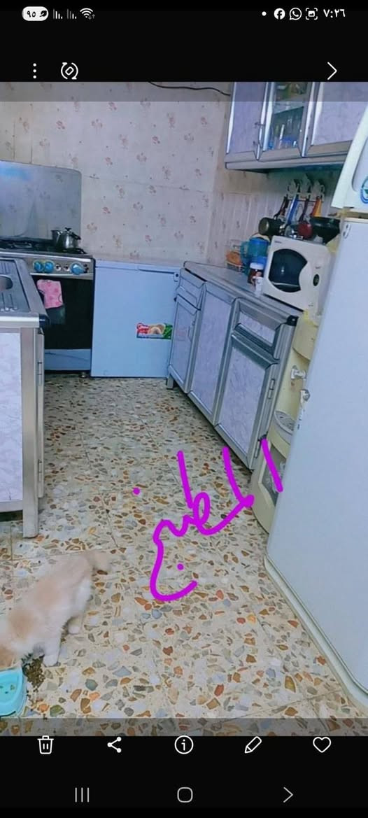 مشتمل مساحه 75 متر في الزعفرانيه ملك صرف طابق واحد بناء عقاده نظيف مثل ما تشوف العنوان الزعفرانيه شارع الكهرباء دور الشرطه الجبهه خمسه نزال 15 السعر 55 مجال بسيط للاتصال ***********
