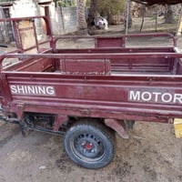 ستوته • موديل 2020 • أوراق أصلية