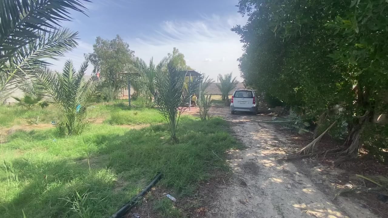 بستان للبيع 
مقابل البترو يم المحطه و المطحنه من يمهن وتنزل بشارع 
مساحته 1700 متر بي 40 نخله مشكل وبيهن برحيات وبي 10 سدر مطعم و بي حنه وبي صفصاف 
بي كهرباء ومكانه مرتب 
السعر 40 وبي مجال للشراي 
واتساب / ***********
هاتف / ***********
