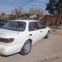 سيفيا • ١٩٩٥ • المسيب