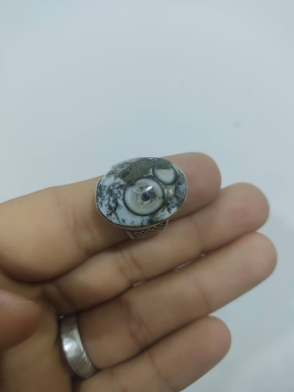 يالله محابس للبيع فضه عراقي  سعر الواحد 30قفل مكان رمادي تاميم


**إذا كنت صاحب هذا الإعلان وتريد حذفه لأي سبب، رجاءا أرسل رسالة إلى الدعم الفني**