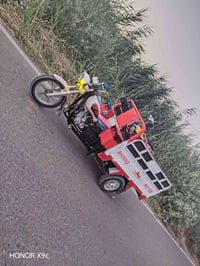 ستوته • ٢٠٢٢ • مكفول