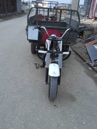 ستوته • معامله • ترقيم