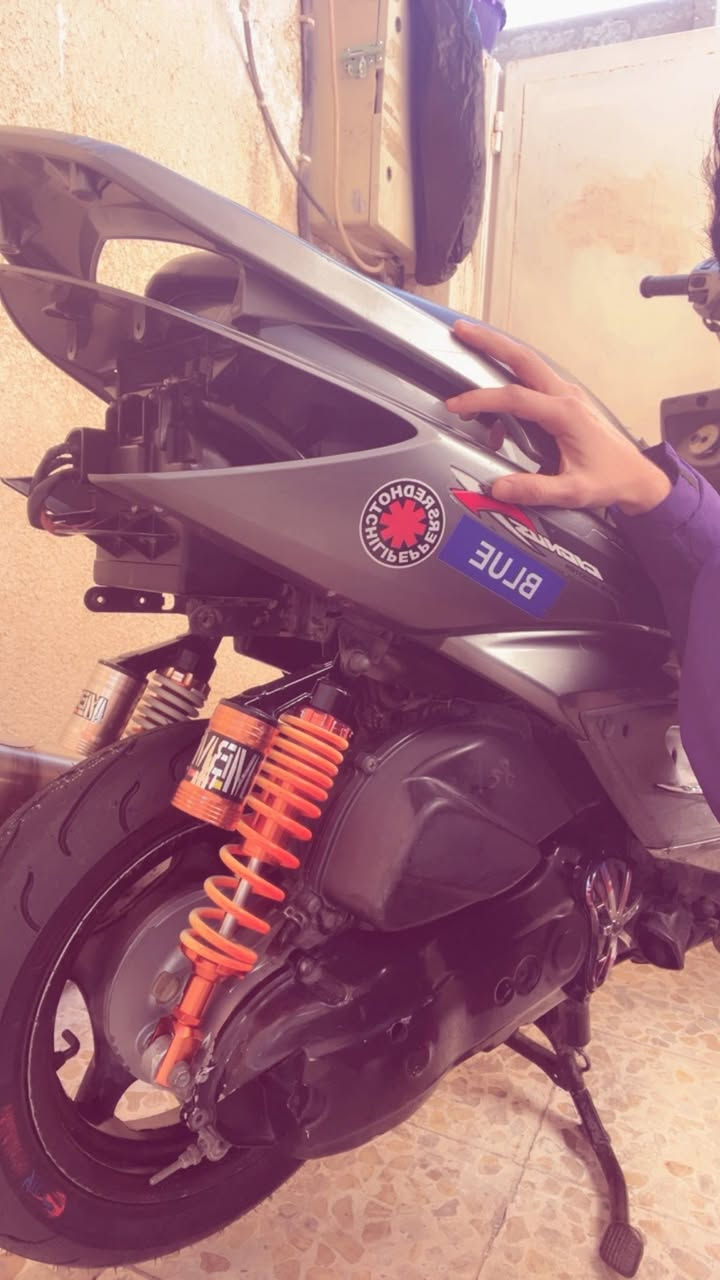 سكنس فحل للبيع بيهه تبخير قليل 450 بغداد لشعب ***********
