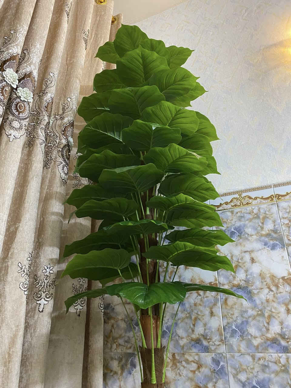 شجرة مال زينة اصطناعية
اوراقها جبيره

وحجم الشجرة جبير 

ارتفاعها ٢٢٠ مترتين وشويه

عرضها ٦٠ اكثر من نص متره

بغداد زعفرانية  سعر 75 الف

***********
