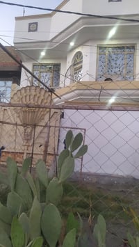 طابو صرف • شارع 80 محيزم • ١٥٠م