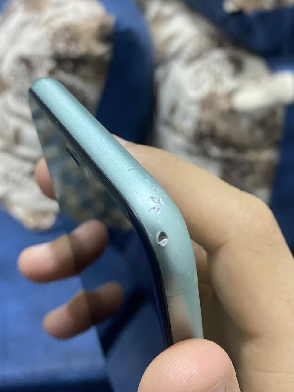 ١١ عادي كلة بلادي ذاكرة ١٢٨ بطارية ٧٧ ميصرف ابد اخر تحديث للمراوس ويا ١٢ برو ماكس


**إذا كنت صاحب هذا الإعلان وتريد حذفه لأي سبب، رجاءا أرسل رسالة إلى الدعم الفني**