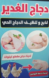 ذبح وتنظيف دجاج • دجاج مقطع • توصيل خانقين