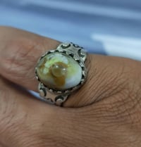 محبس سليماني • معطف • خاص