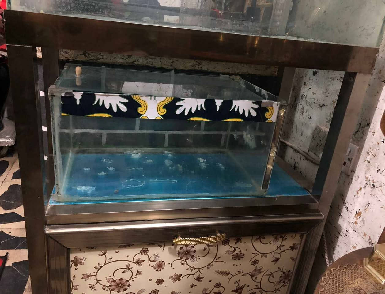 حوض اسماك عدد 2 كبير وصغير مع دولاب ألمنيوم بسعر 125 الف وبي مجال بغداد, العراق


**إذا كنت صاحب هذا الإعلان وتريد حذفه لأي سبب، رجاءا أرسل رسالة إلى الدعم الفني**