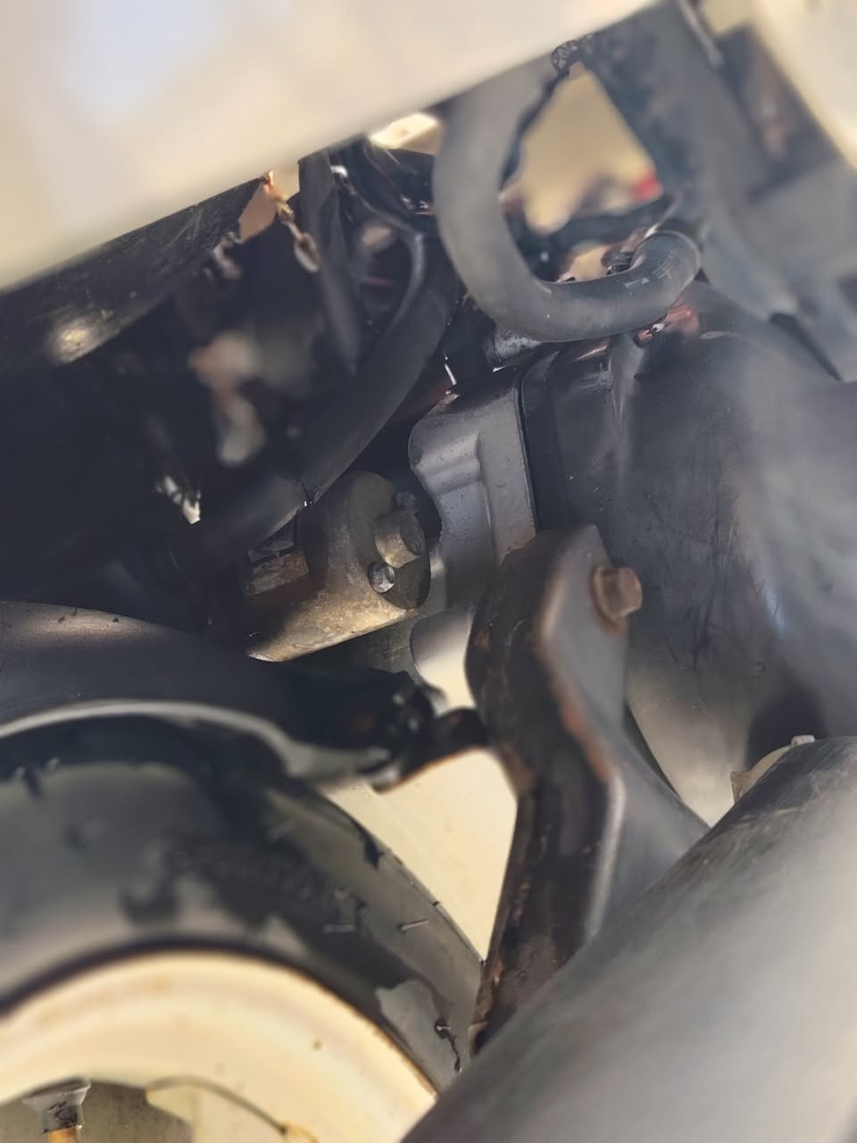 سلام عليكم بوليس كابرتر كفاله عامه من كلشي صارله ٤ اشهر من نازله وصل منفيس موجود كله بلاد برغي تجاري مابيه حته بلك بلادي داخل كريمي اصلي كفر ختم واحد ويه مكينه مابيه اي نقص ربع نكره تجي ترايك للبصره اذا بيه برغي تجاري تاخذه بلاش سعر خاص مكاني مسيب رقم ***********
