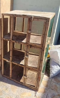 سامراء • خانات طيور • افراخ دجاج