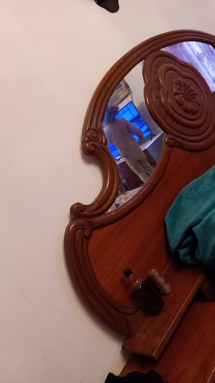 غرفه اخشاب وياهه الدوشك كل هاي سعره 800الف فقطططط يلا شراي يدخل خاص


**إذا كنت صاحب هذا الإعلان وتريد حذفه لأي سبب، رجاءا أرسل رسالة إلى الدعم الفني**