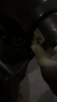 ماكس عدله البيع دراجه حلوه ونضيفه شلعه ومعدل خير من الله مكينة 55 السعر 450 وبيها مجال قليل التواصل واتساب فقط ***********
