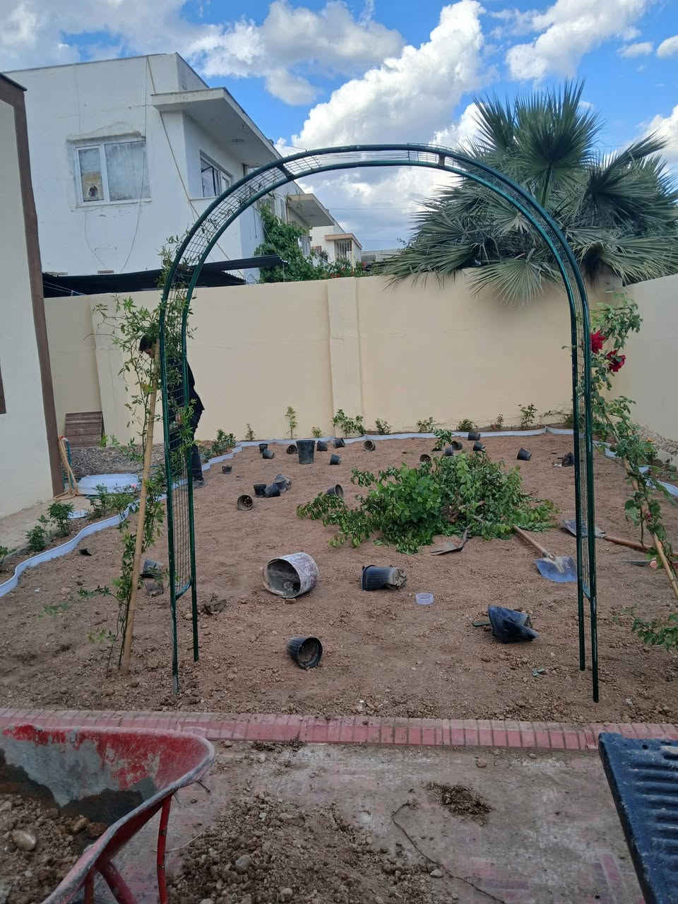 گروپی باخەوانی  .ئامادەین بۆ دروست کردنی باخچە و چاندنی فریز بە باشترین و نوێترین شێوازی سەردەم 
ژ.م ***********مجموعة بستنة. مستعدون لإنشاء الحدائق وزراعة التجميد بأفضل وأحدث الطرق الحديثة.
رقم الهاتف: ***********
***********
@إشارة

