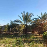 بيت للبيع • الشهابي