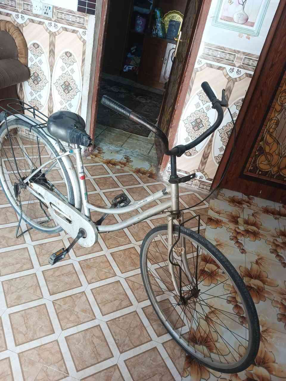 بيسكل ياباني بناتي قيم واخذ


**إذا كنت صاحب هذا الإعلان وتريد حذفه لأي سبب، رجاءا أرسل رسالة إلى الدعم الفني**