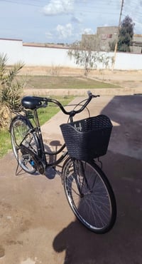 بايسكل • للبيع • سعر مناسب