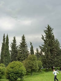 سيارة تبريد • دوكان ٤٠ • كونه ماسي ٦٥