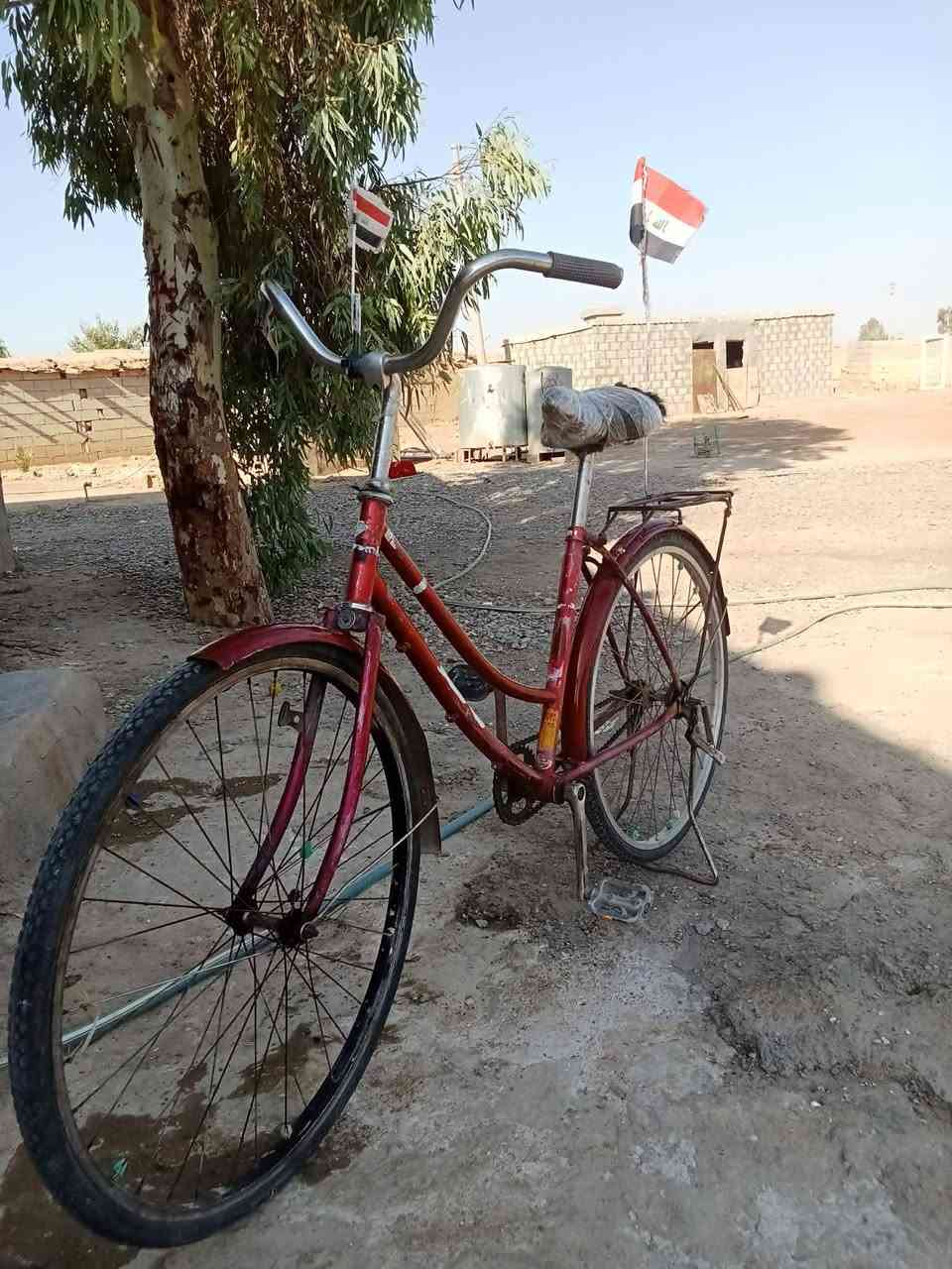 بايسكل للبيع السعر 30 قفل


**إذا كنت صاحب هذا الإعلان وتريد حذفه لأي سبب، رجاءا أرسل رسالة إلى الدعم الفني**