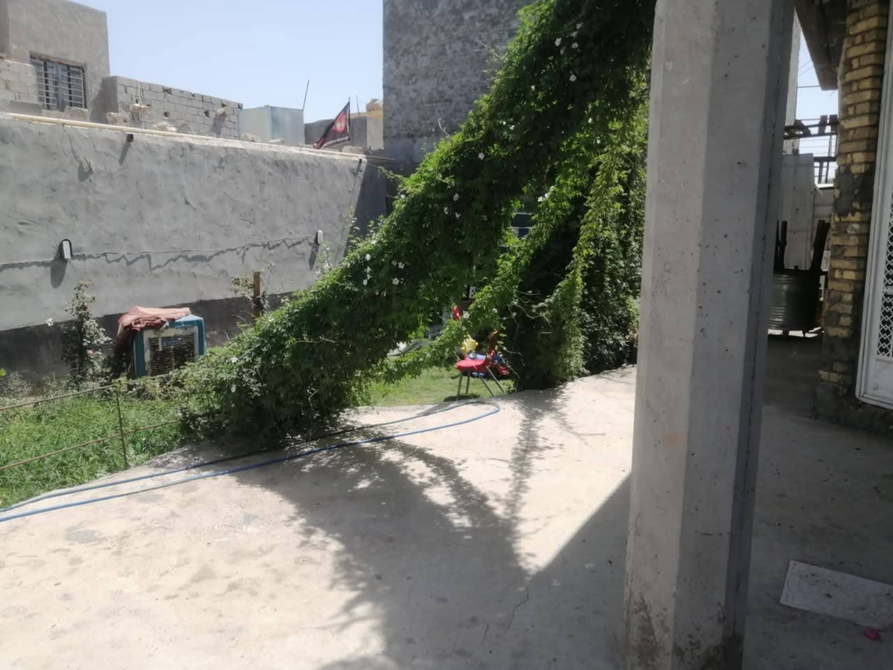 بيت للبيع
نهاية شارع ٣٠ (شارع المسبح)
المساحة الكلية ٤٠٥ مساحة البناء ٢٠٠
غرفتين ٦ب٥ و٥ب٥
استقبال ٨ب٥ مطبخ ٤ب٤
هول ٥ب٥ حولي ٤ب٥
صحيات ٢ب٢
للتفاصيل مراسلة الخاص او واتساب 
***********
