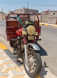 ستوته • ليڤان • رقمي