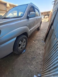 سبورتج • ٢٠٠٩ • مصبوغ