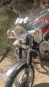 للبيع كاملة ما ناقصهة شي كاملة أوراق كاملة سعر ٤٥٠ بهة مجال 
***********
