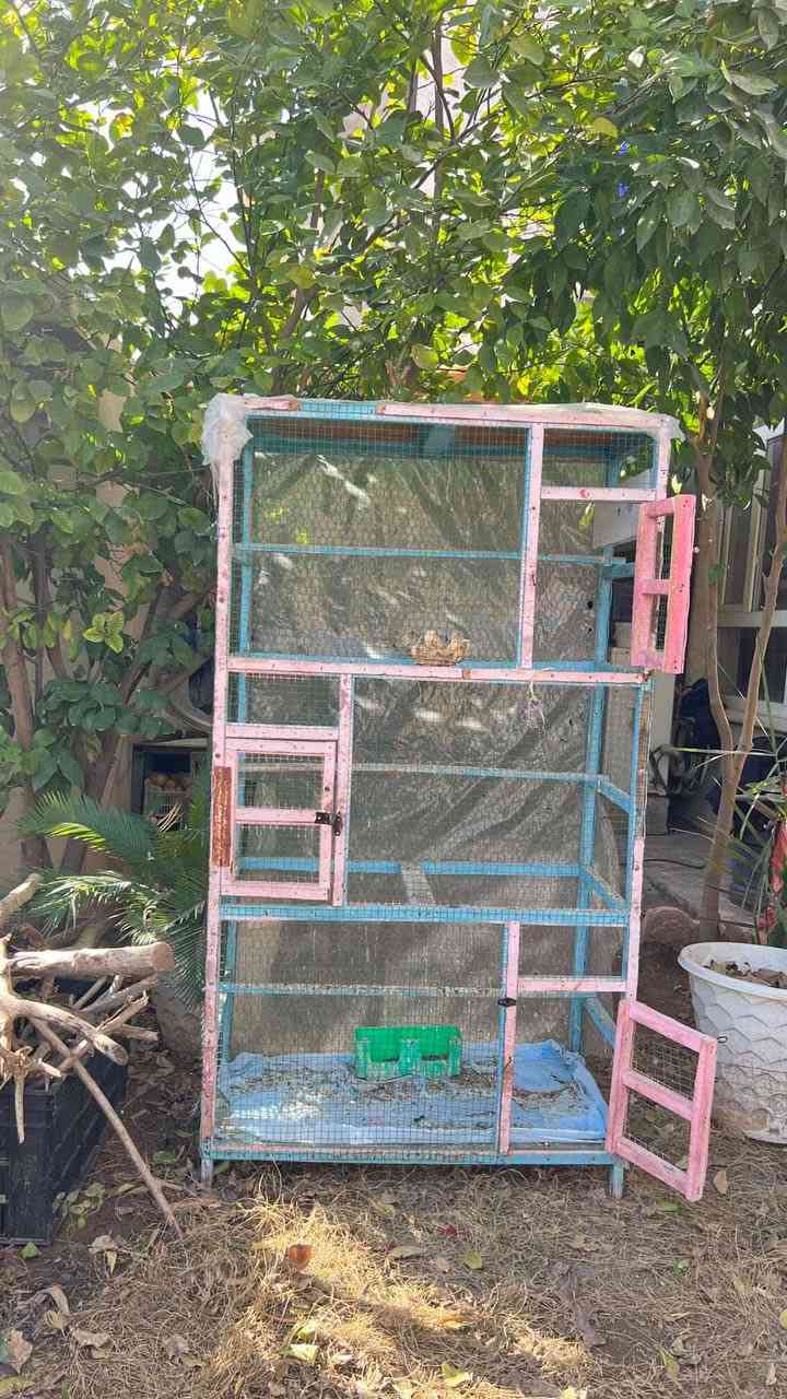 للبيع قفص بلابل سعر 25 الاتصال   ‭0773 625 6273‬
