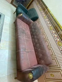 تخم تركي • مول الحافظ • الكرادة