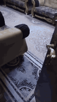 زان تركي  ملكي 10مقعد 💺 أخو جديد أي ضرر مابي تفحص وتاخذ سعر ,,400,, بي...