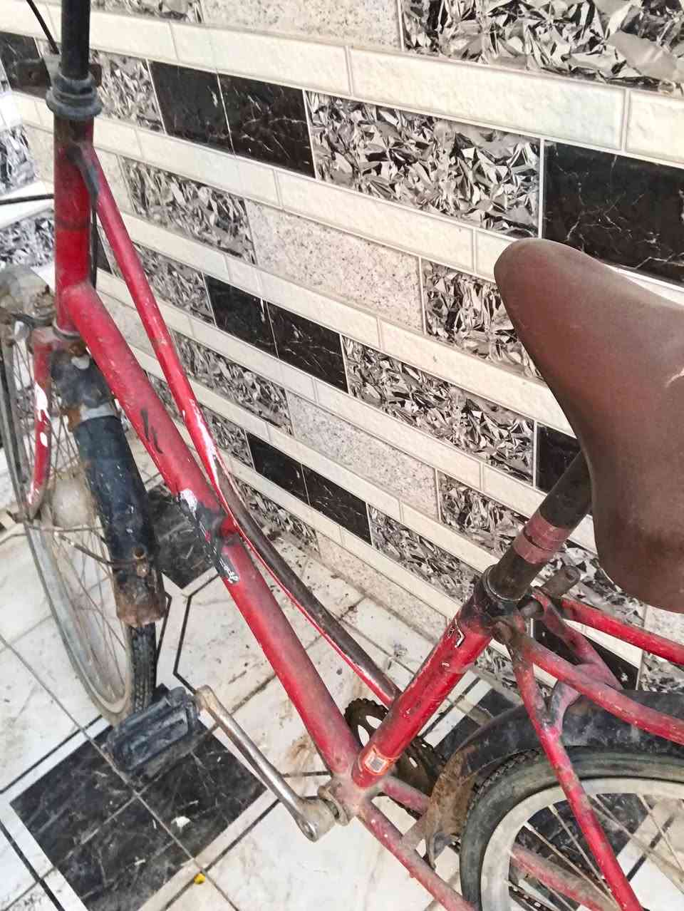 بايسكل حجم 26 سعر 25 فقط مستعجل


**إذا كنت صاحب هذا الإعلان وتريد حذفه لأي سبب، رجاءا أرسل رسالة إلى الدعم الفني**