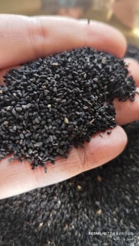 بذور عين البزون • ونكا • توصيل