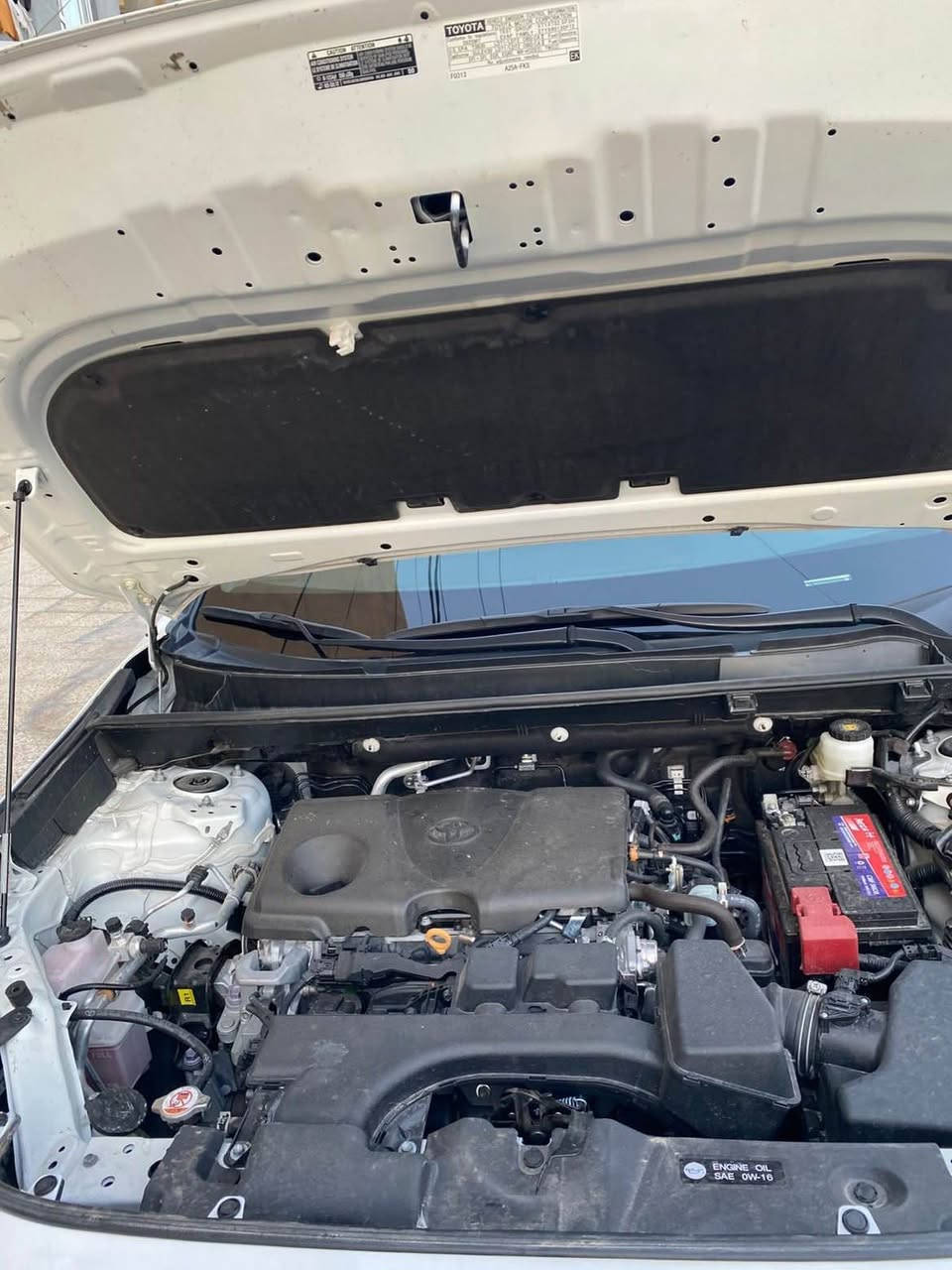 رافور موديل 2025
سه رئ جه ملوغئ  قاما نه فه ري سينگي كارته 
4000ريفه جوي 
فول مواصفات بس نه ده بل اكسنه ✅
(XLE)
هه مي شه رت په ره شوت نه فه بوينه
گئرو ماكينه شه رت 
داخلي نه گرتيه 
سعر 268بيجه ك مجال دهوك, العراق


**إذا كنت صاحب هذا الإعلان وتريد حذفه لأي سبب، رجاءا أرسل رسالة إلى الدعم الفني**