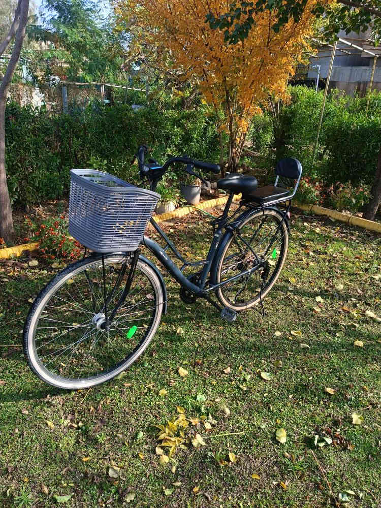 🌸 السلام عليكم ورحمة الله وبركاته 🌸
🚲 دراجة هواية للبيع 🚲

✅ بالة حاوية أصلي .. #وضع شركه 
✅ شرط الفحص والنظافة والضمان
📏 الحجم 27 ونص     #لشه ثقيله 
⚙️ كير وحساس .. 
🛞 تاير عريض 
🪑 سرج طبي أصلي مريح
🧺 سلة أصلية
📐 تصعد طوال القامة
✨ نظافة 95% غير مستخدم
سعر ٢٠٠الف رقم ***********
موديل 2022 كركوك, العراق
